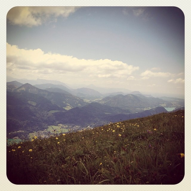 IMG_0426.png