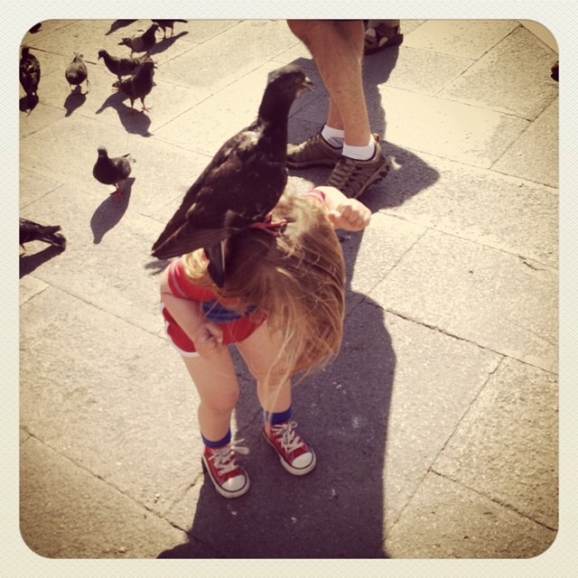 IMG_0434.png