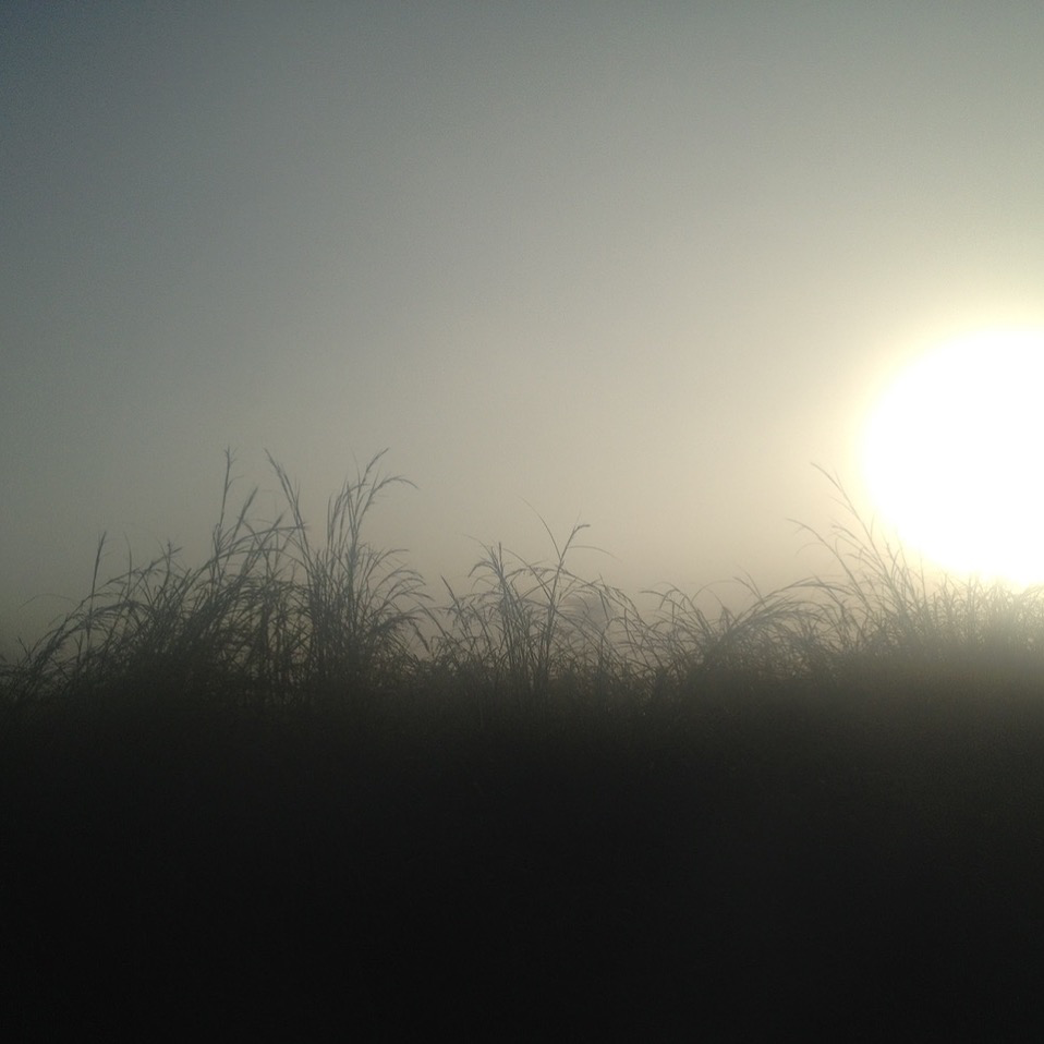 IMG_6068.png