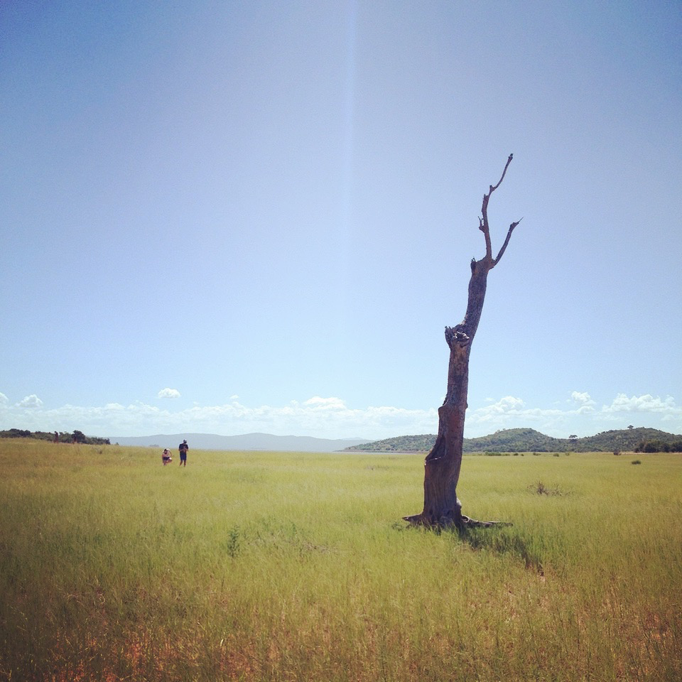 IMG_6090.png