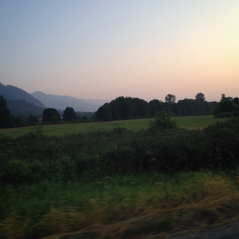 IMG_6347.png