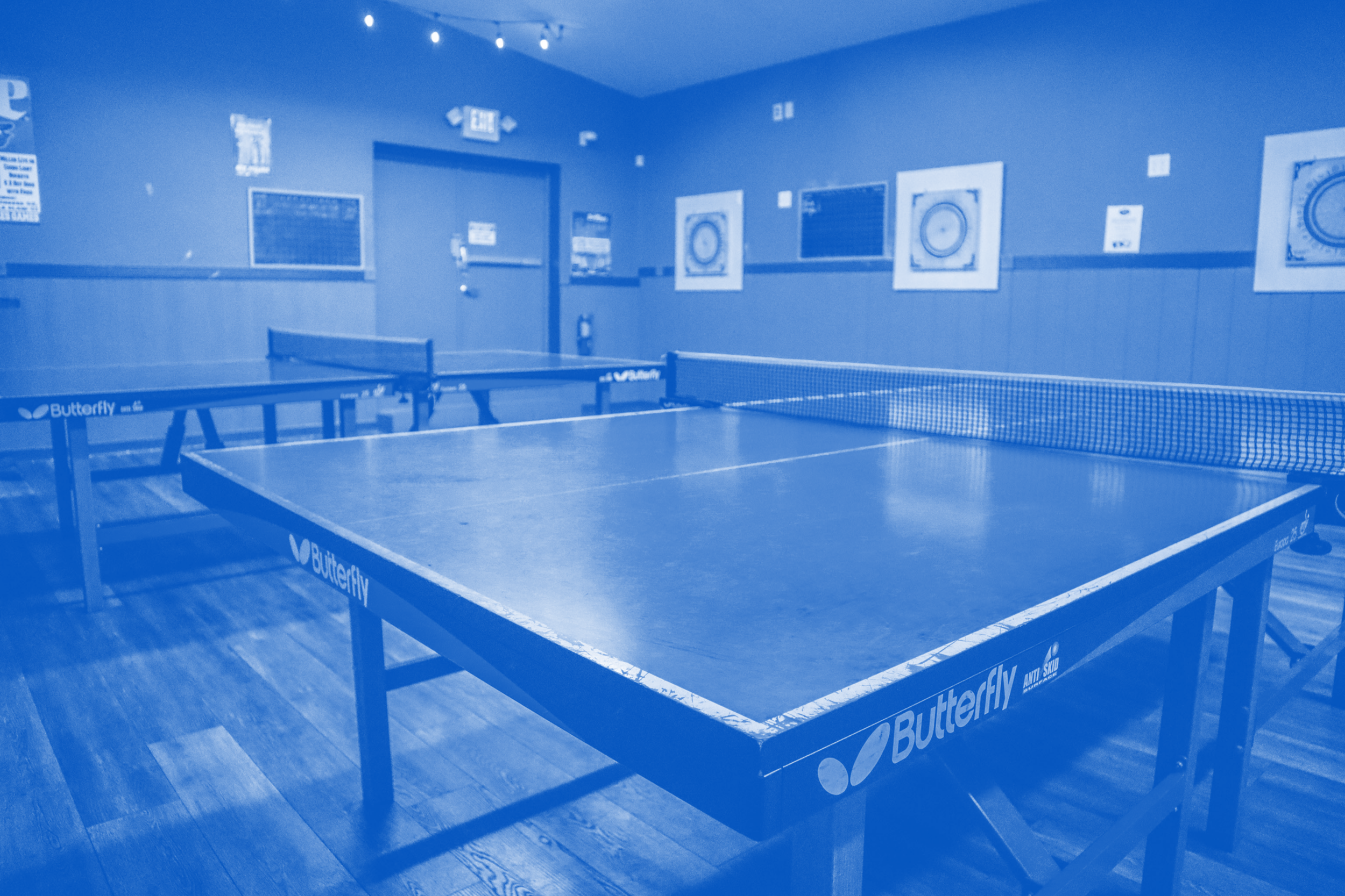 DART PICTURE (1).png