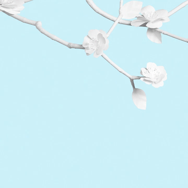 RF_spring_tree-picking.gif