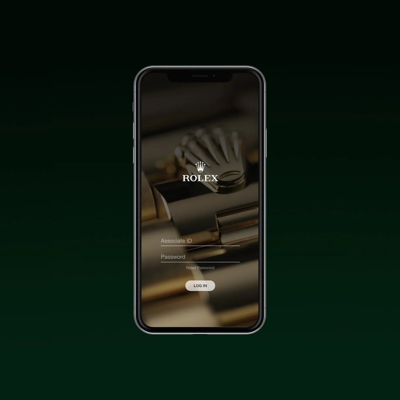 rolex_project-thumb.jpg