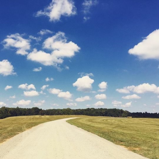 How we became the best north carolina simple modern wedding venue