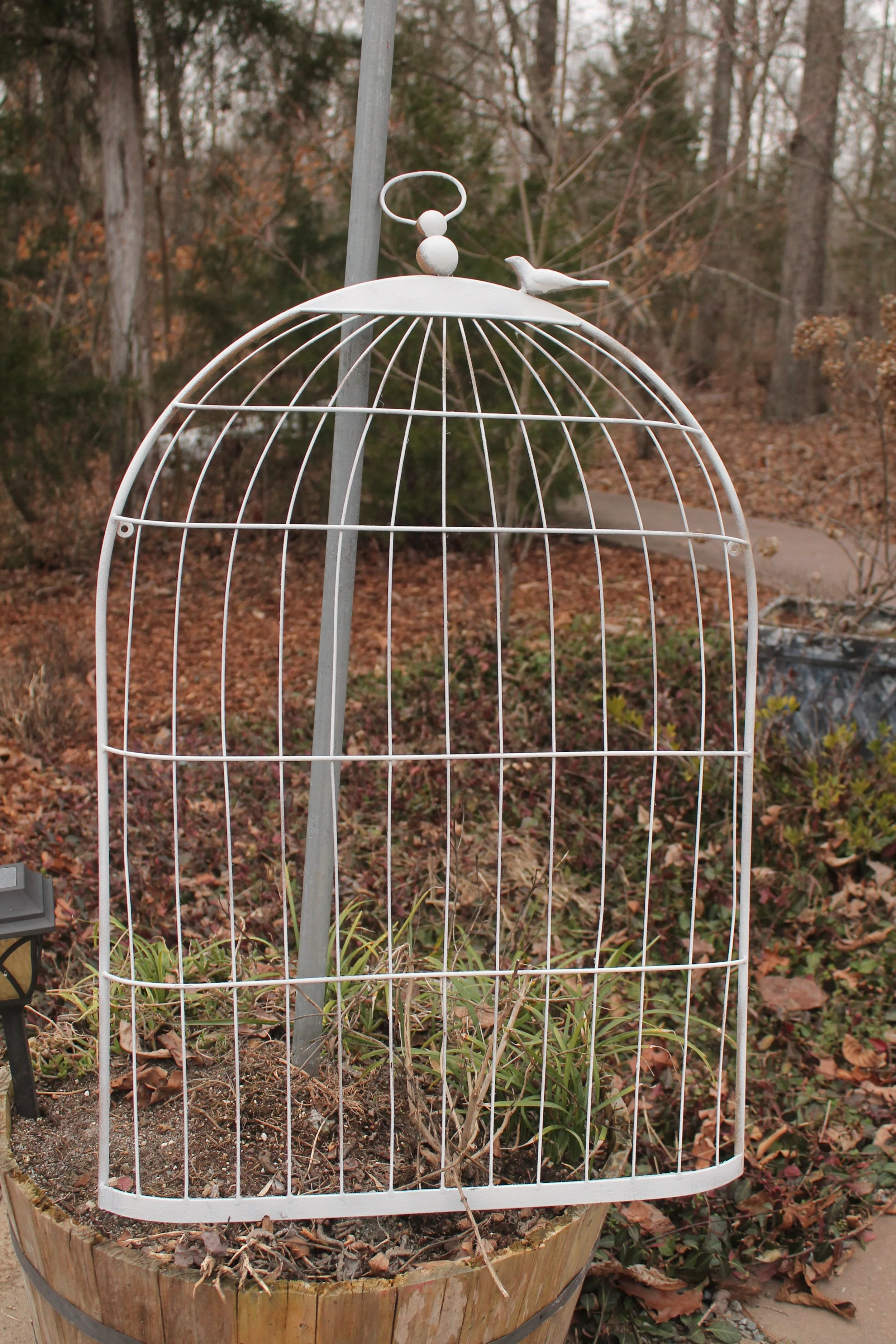 Birdcage Display Decor