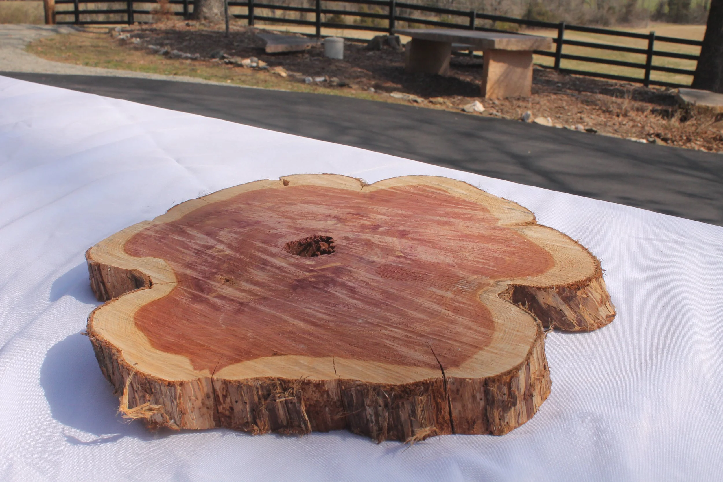 Live Edge Cedar Slices