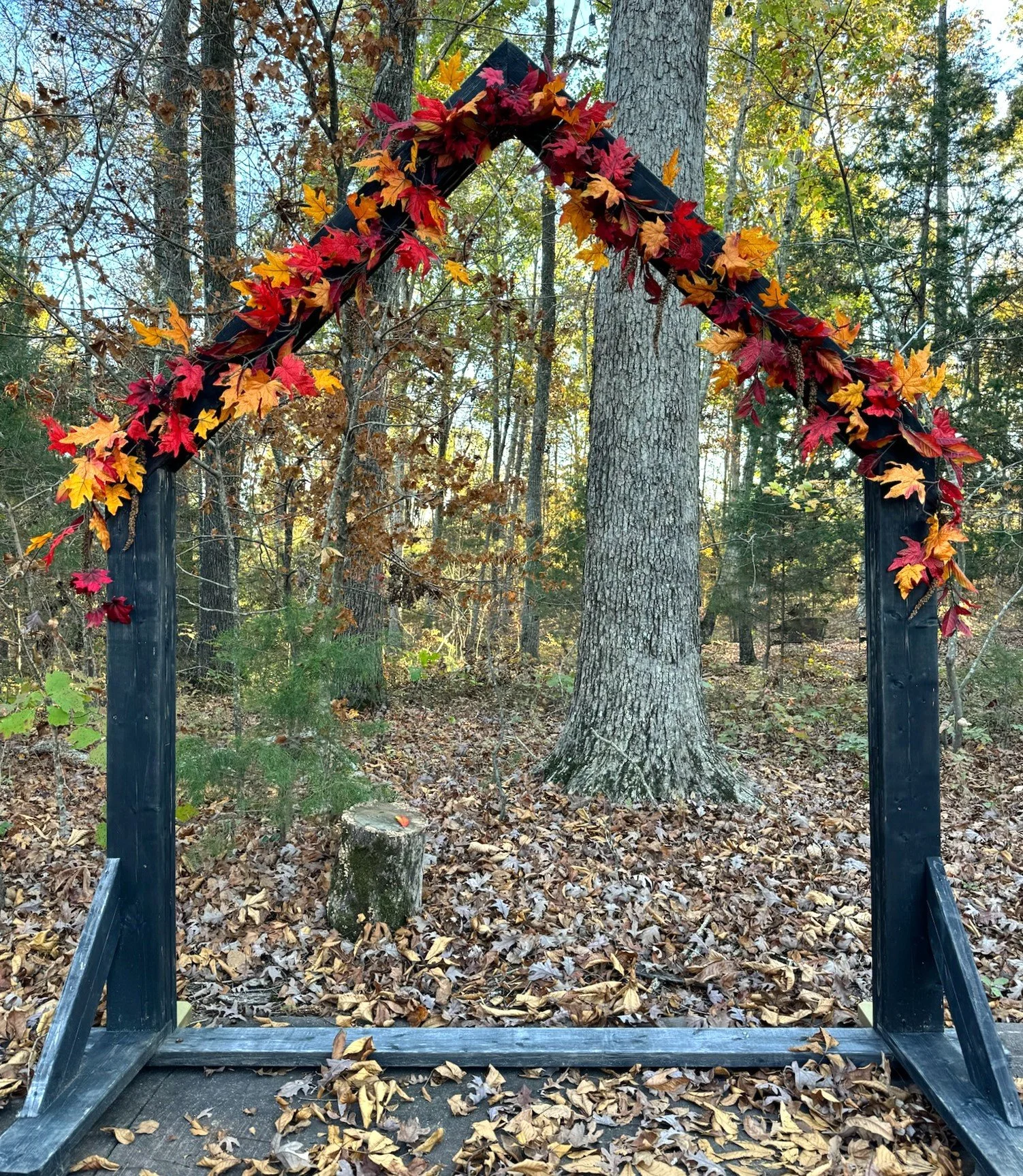 copy leaf pointed arch 1.jpg