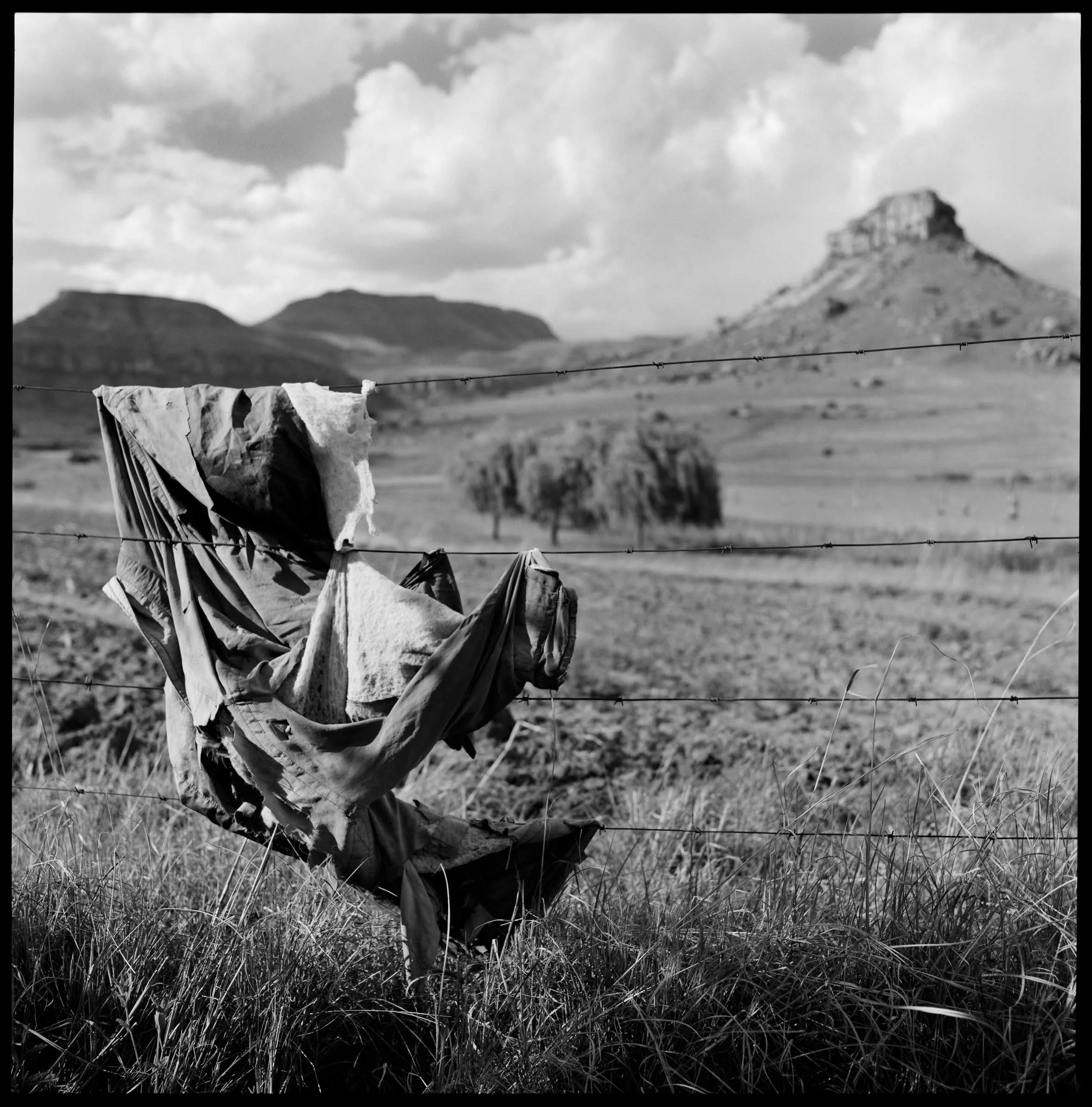 Open Field, Fouriesburg 2009 - Laurent Bodard.jpg
