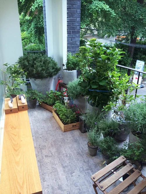 2층 테라스에 자리잡은 미니 정원, 허브들의 향으로 가득해 몸과 마음 모두 릴렉스해진다.