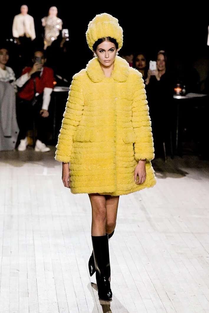 _dan0049-10285003.jpg
