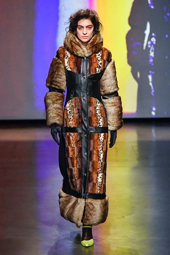 _csc5455-10303406.jpg
