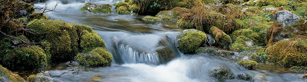 water-level-and-flow.jpg
