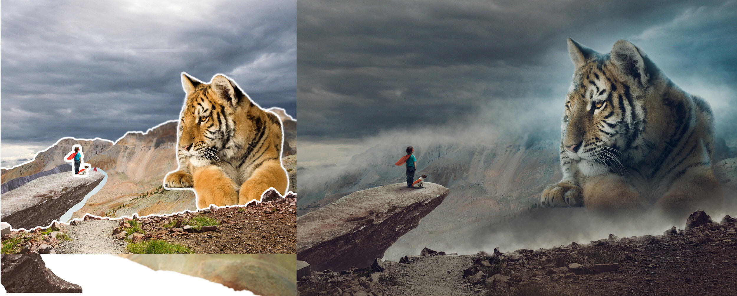 tiger and a boy 2048before after.jpg
