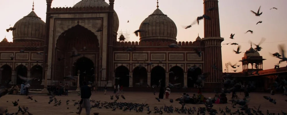 India 1114.jpg