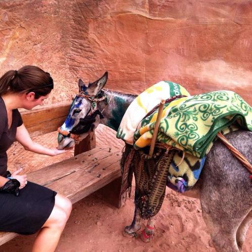 Image via Grassroots Nomad