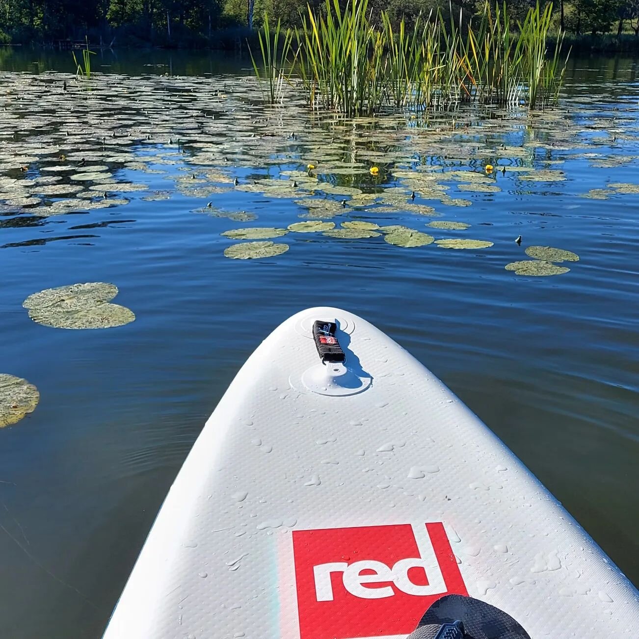 W&uuml;rm-Runde in netter Gruppe...sei dabei! #sports_and_trends @redpaddlecogermany