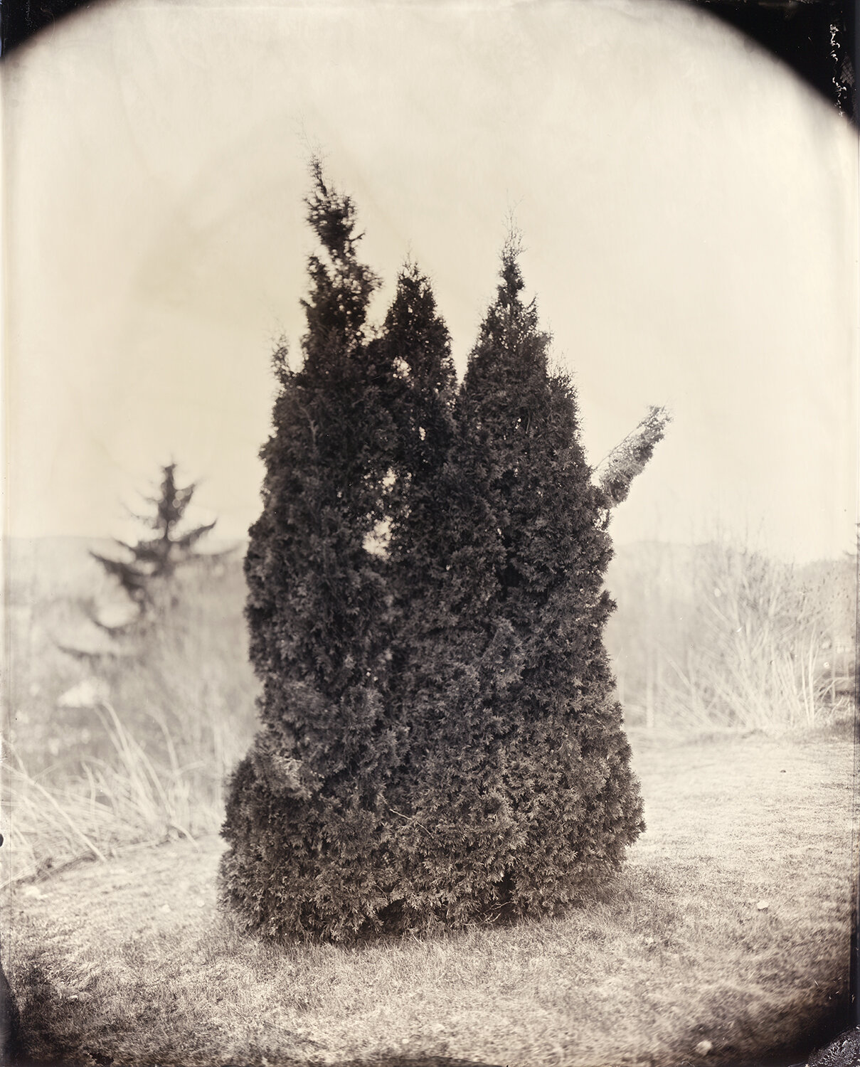 Wetplate2018130web.jpg