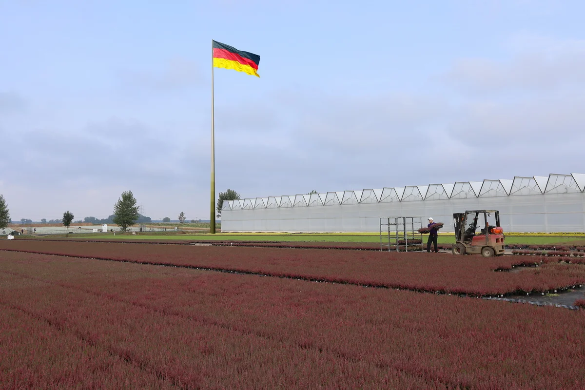 интерьер экстерьер_08.jpg