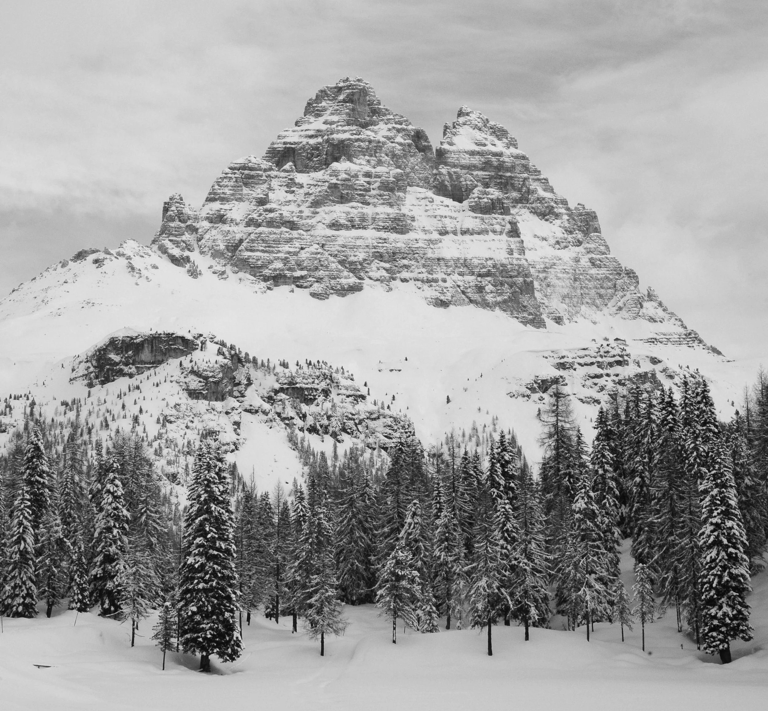 DSC_2560.jpg