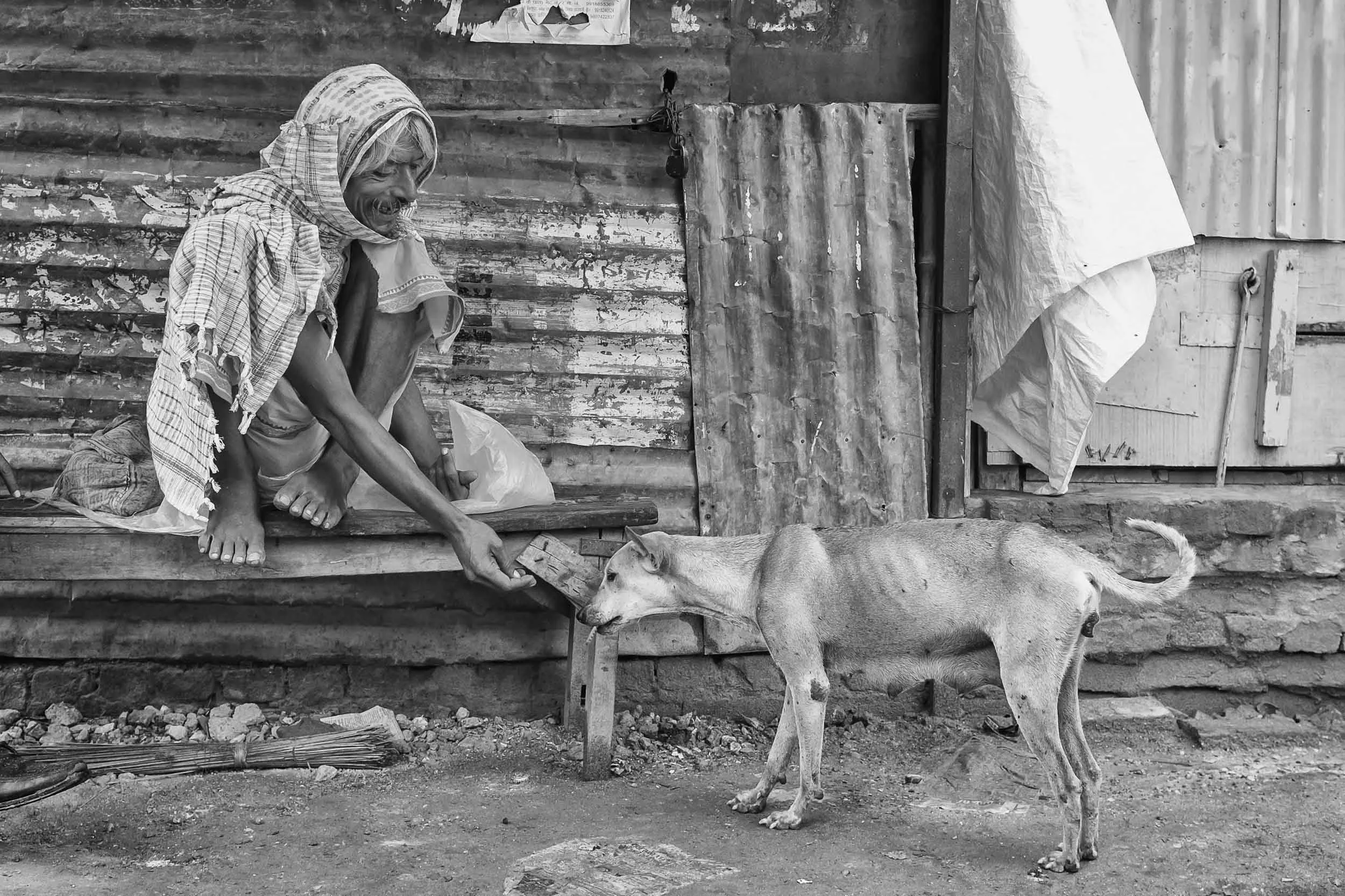 Dogs in Varanasi India Reportage Photography
