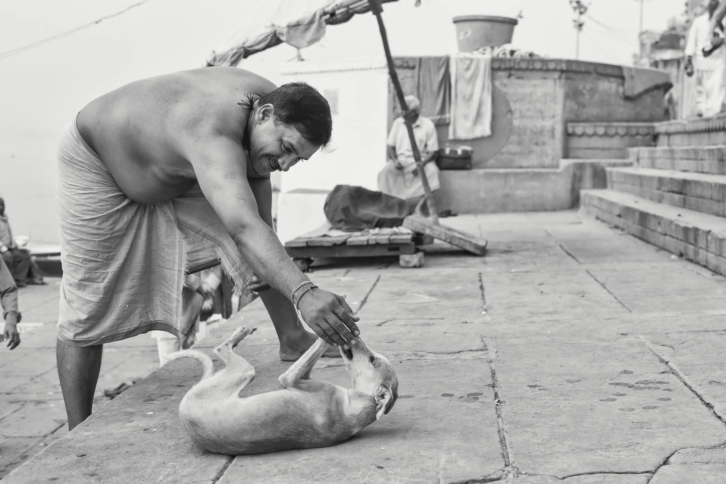 Dogs in Varanasi India Reportage Photography