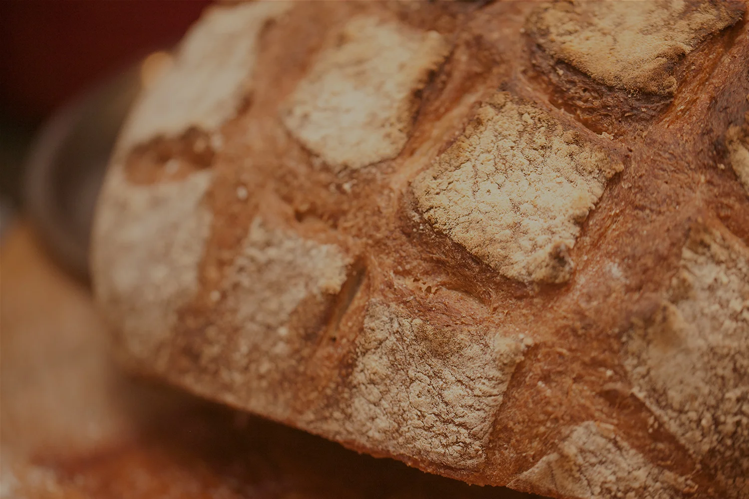bread.jpg