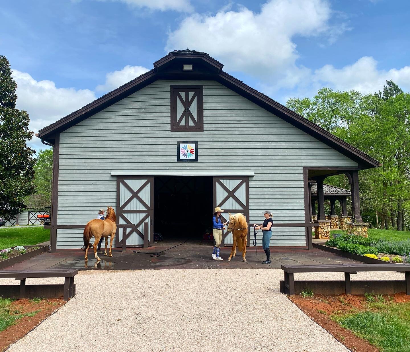 ☀️ Well that was a fun day. A huge thank you to all the participants and auditors who joined us, as well as Laura of @bushelbarns and our friends at @redfeatherfarmnc &mdash; together we raised $950 during this clinic to benefit our organizations. 💜