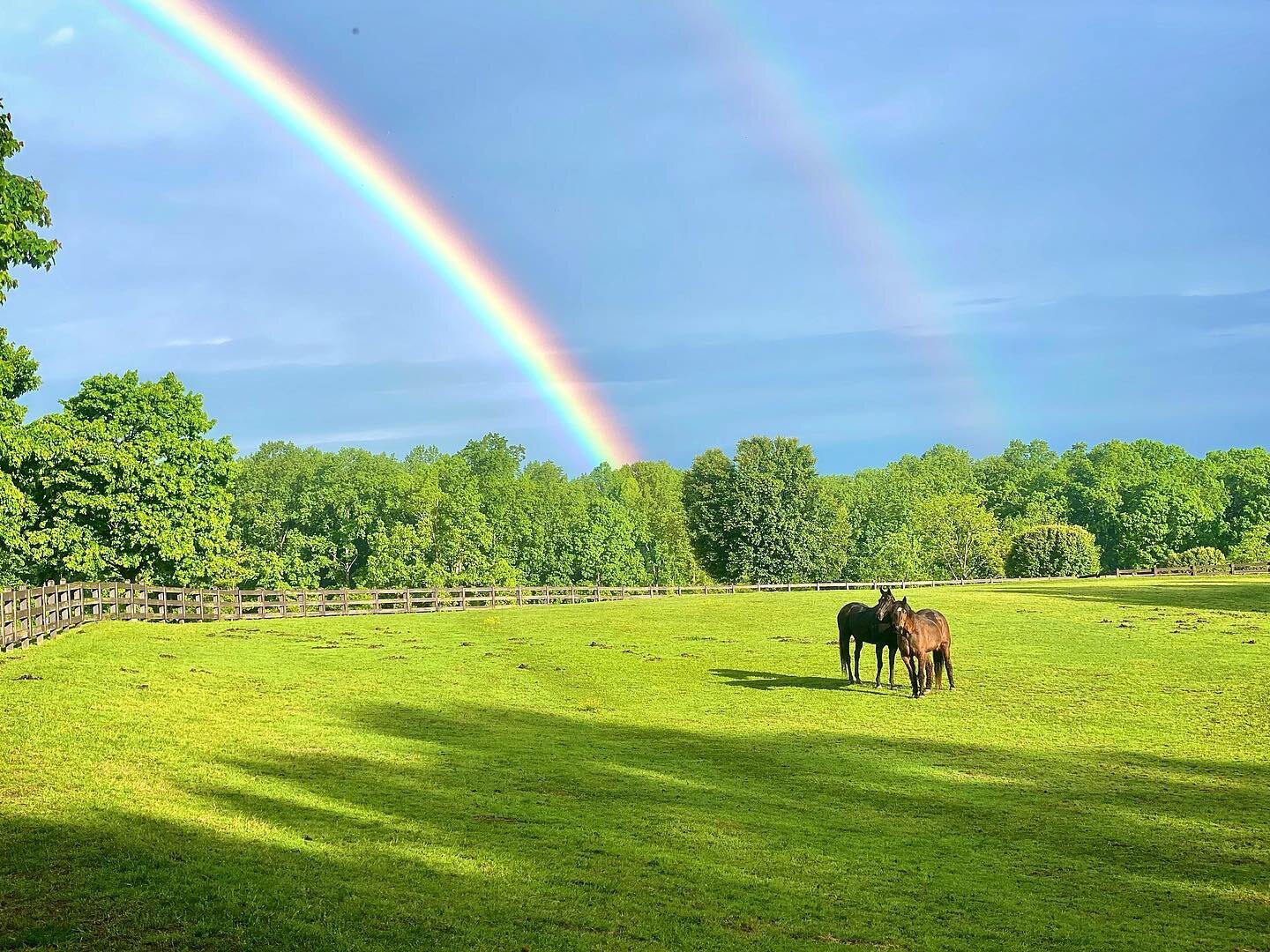 🌈🐴 Our pot of gold at the end of the rainbow. #therapyhorses
.
.
🌧️ This morning&rsquo;s rain brought the most beautiful double rainbow that stretched clear over the farm&mdash;a perfect close to April, and welcome to May, #mentalhealthawarenessmo