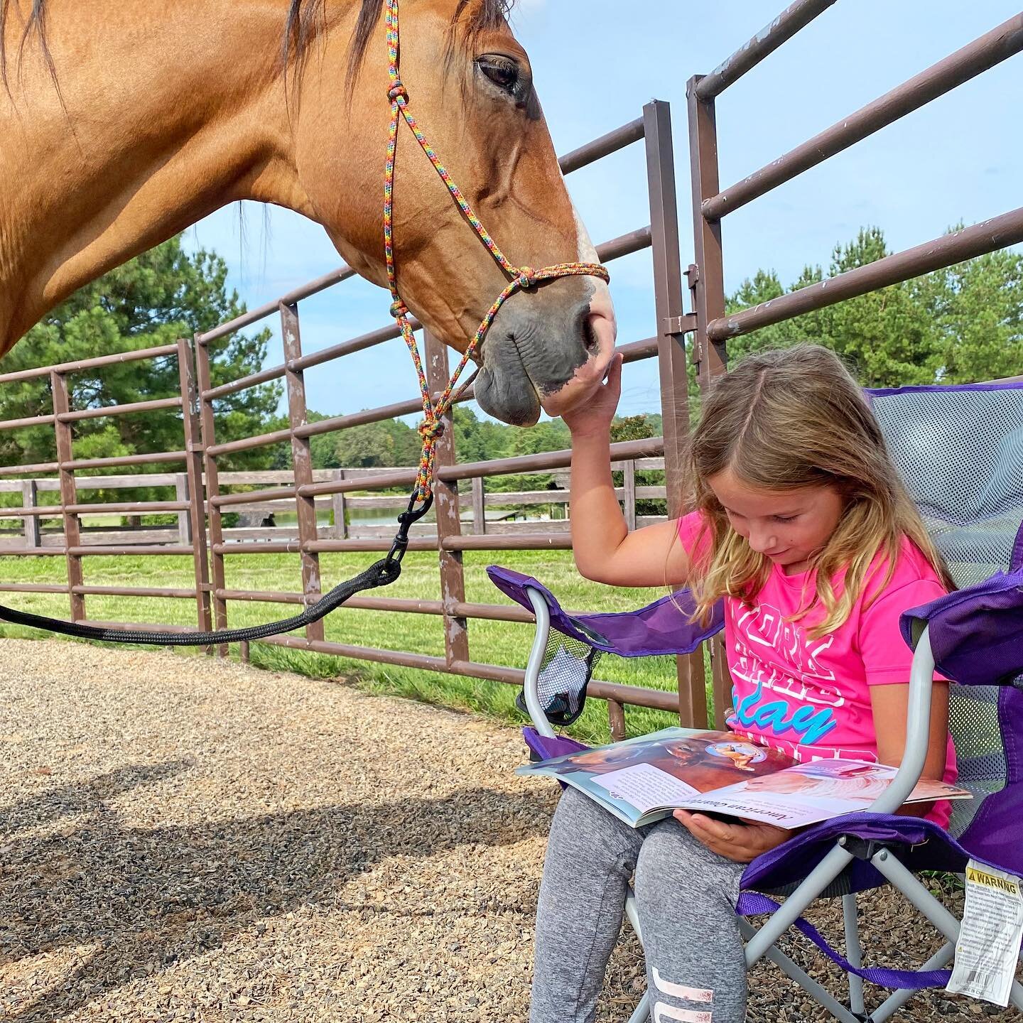 📚 NEW DATE for our May Reading-at-the-Ranch &ndash; now to be held on Tuesday, May 16th. A reminder that RSVP is required. If you have questions, please email info@equuvation.org!
.
.
🐴 Part of our Outdoor Educational program, Reading-at-the-Ranch 