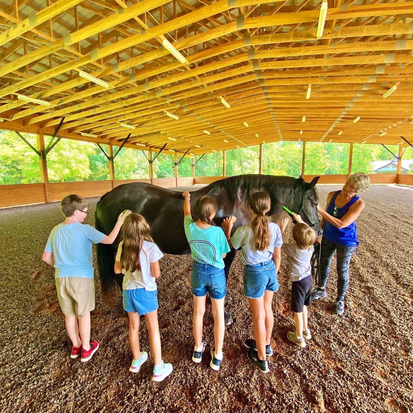 ☀️ SUMMER EXPERIENCES! Don&rsquo;t forget to sign your kids up for one of our nature-based summer experiences &mdash; we have limited space in each of our three offerings, so sign up TODAY at rcdiscoverytrail.org/camp!
.
.
💚 Junior Explorers &bull; 