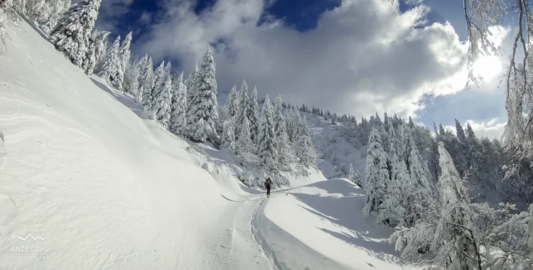 Prve ne pozabiš nikoli