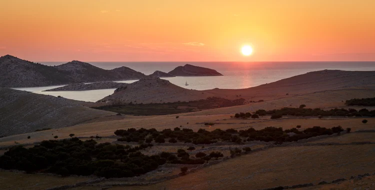 Fotozgodba: pregled leta 2013