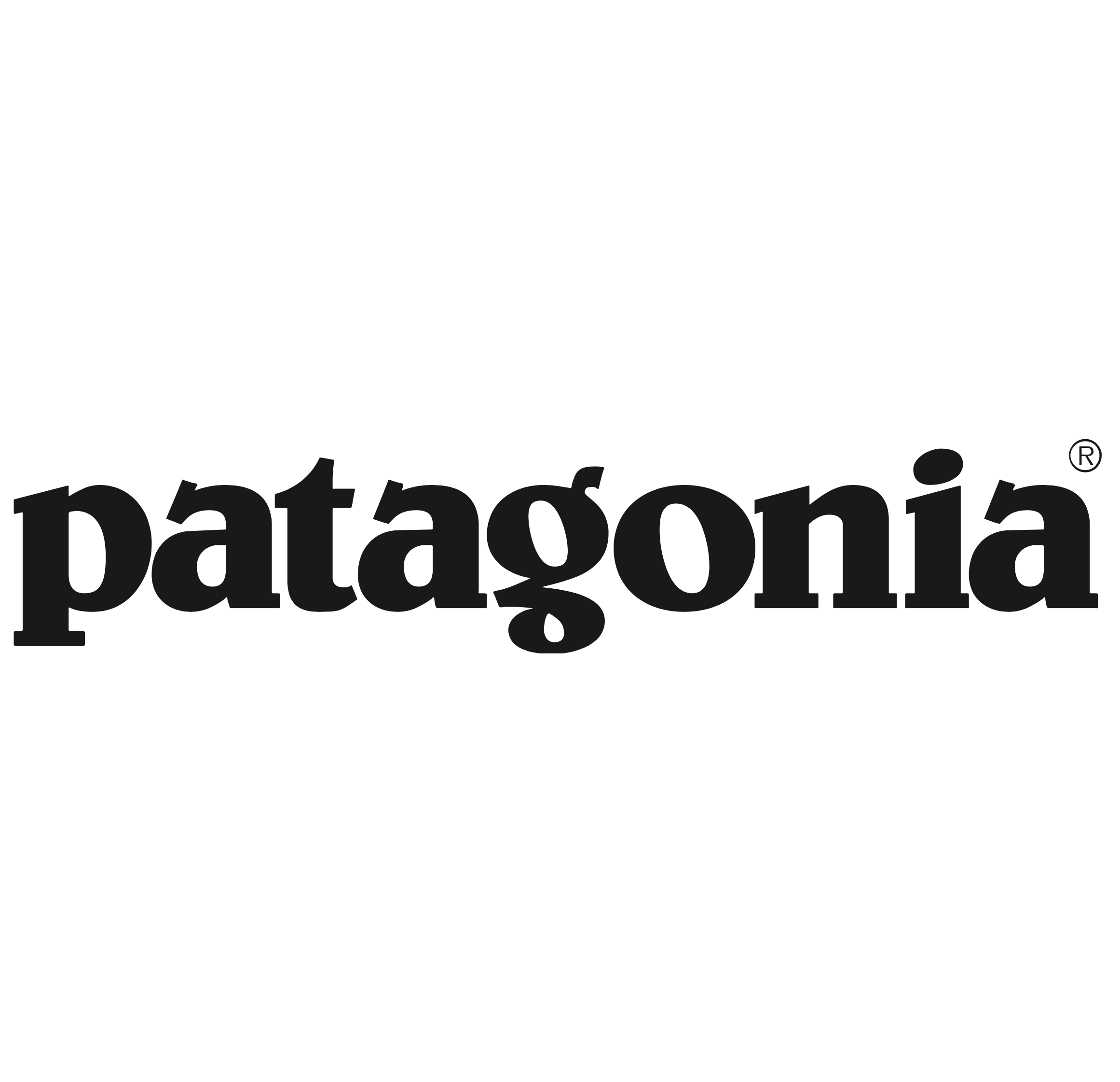 Patagonia.png