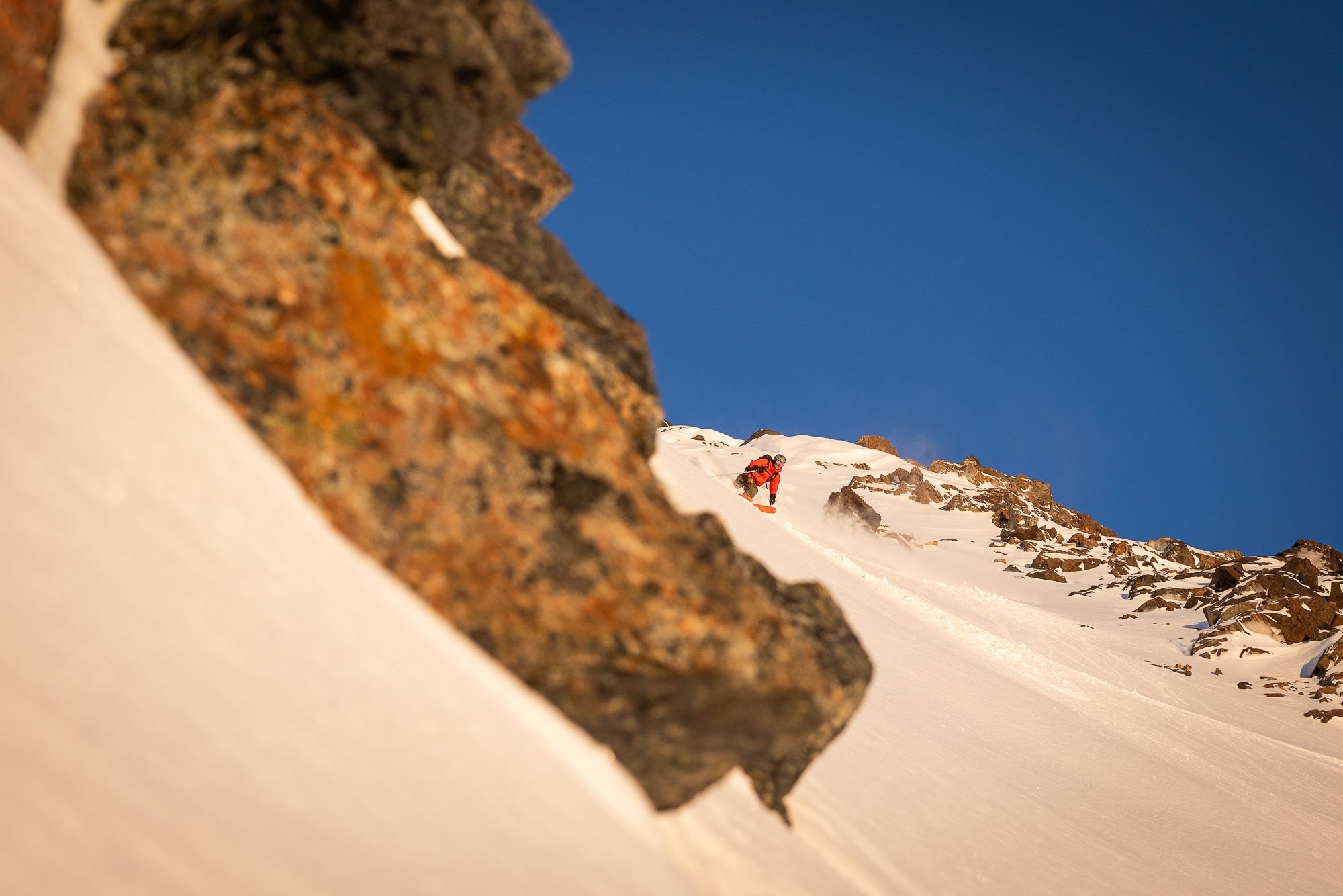 pogled po grapi navzgor