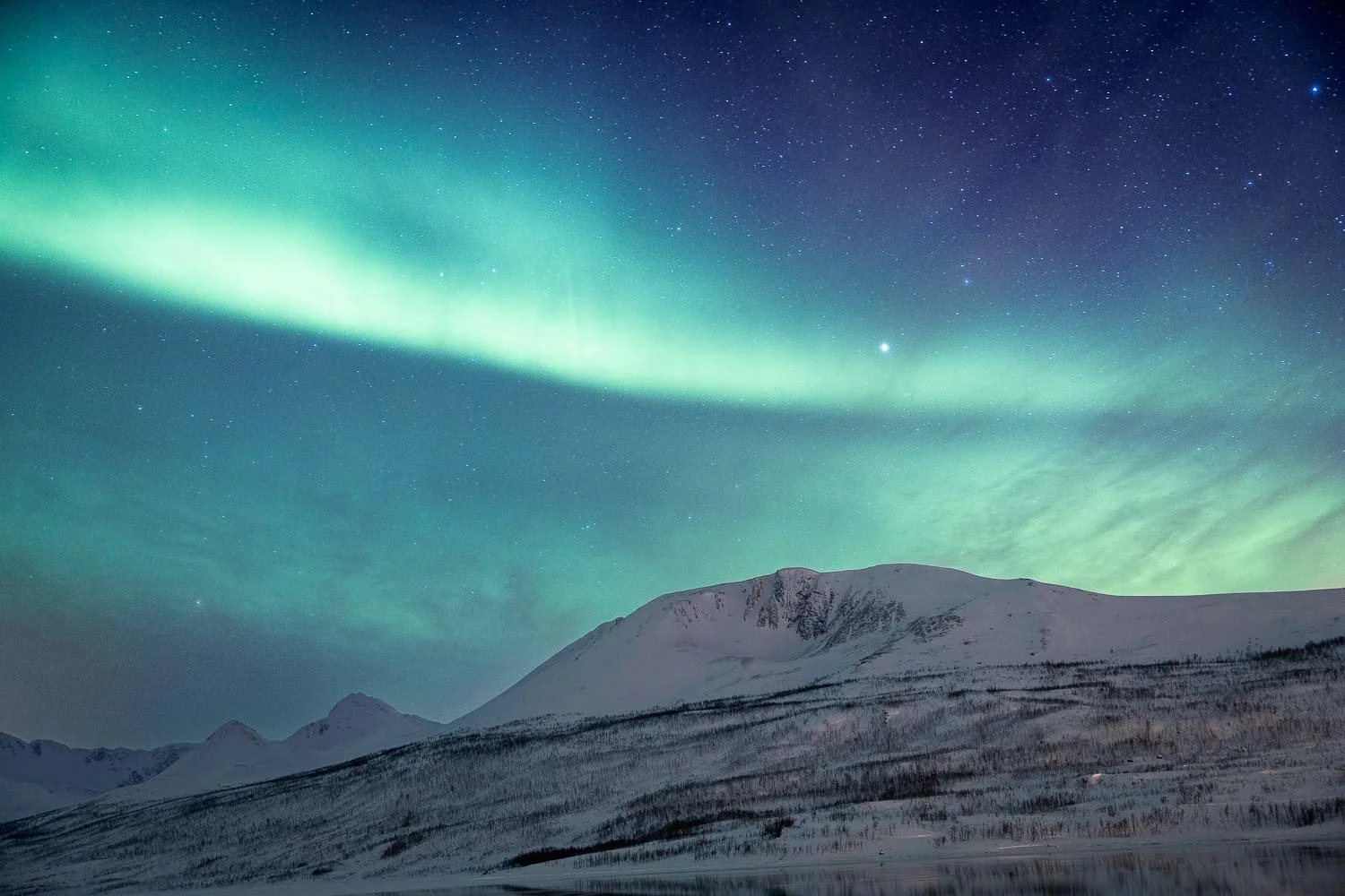 polarni sij severni sij