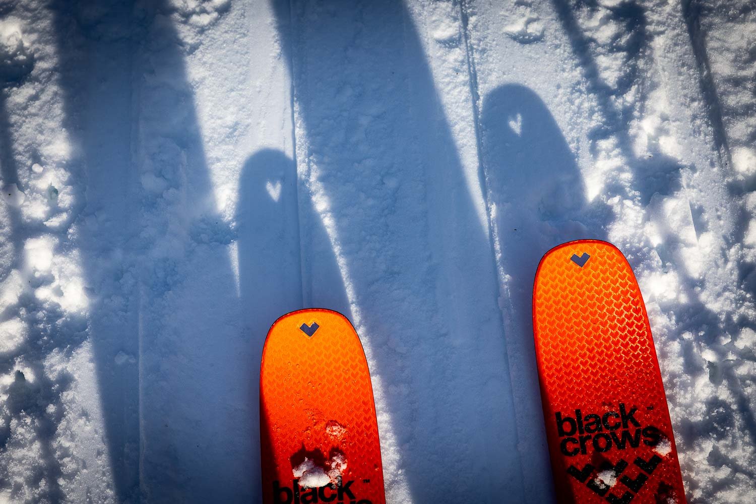 blackcrows turne smuči