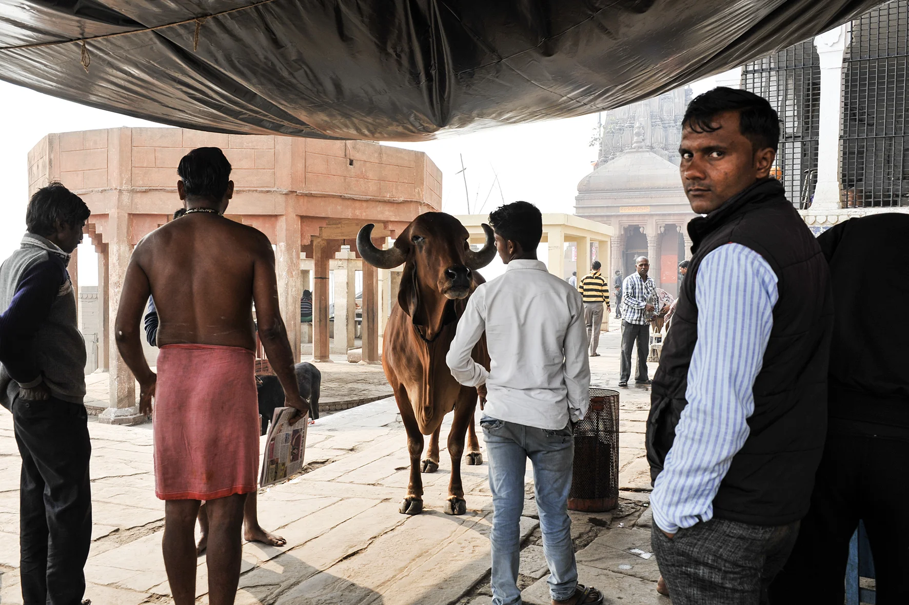 christophe pouget -D7C_0499.jpg