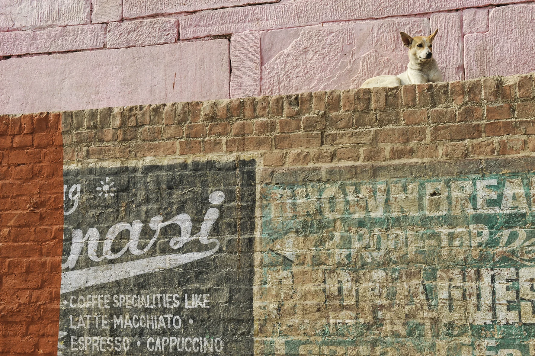 christophe pouget -D7C_0572.jpg