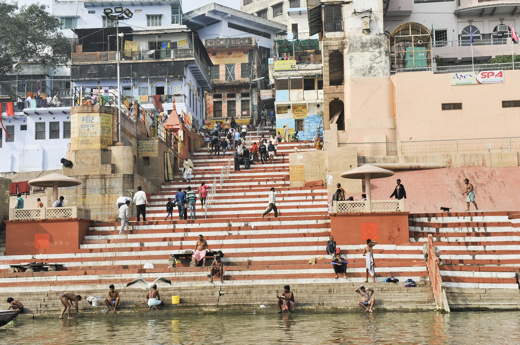 christophe pouget -D7C_0579.jpg