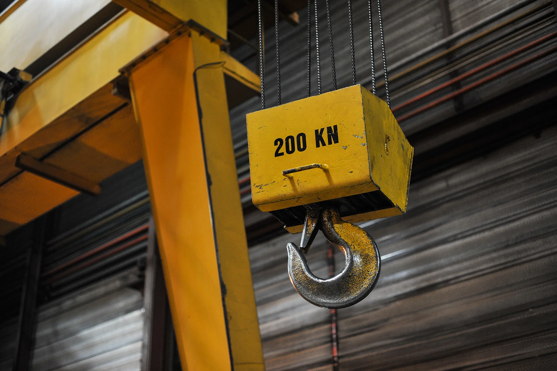 19 christophe pouget, REEL, portrait.JPG