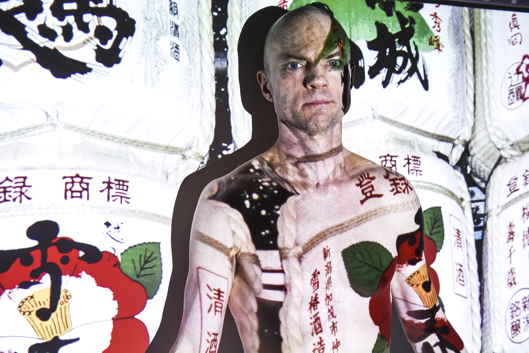 christophe pouget, projection images, kinnernet 11.jpg