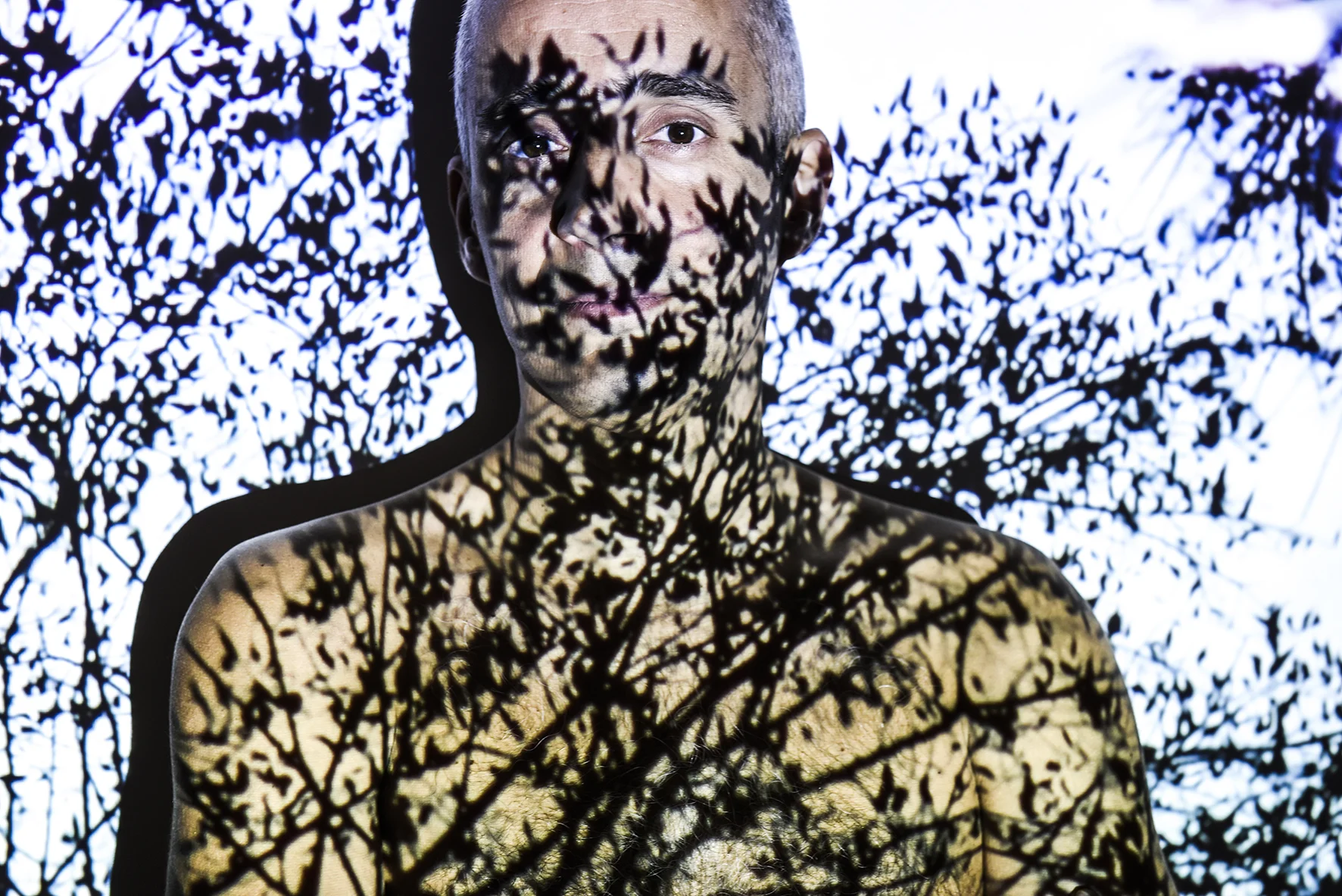 christophe pouget, projection images, kinnernet 7.jpg