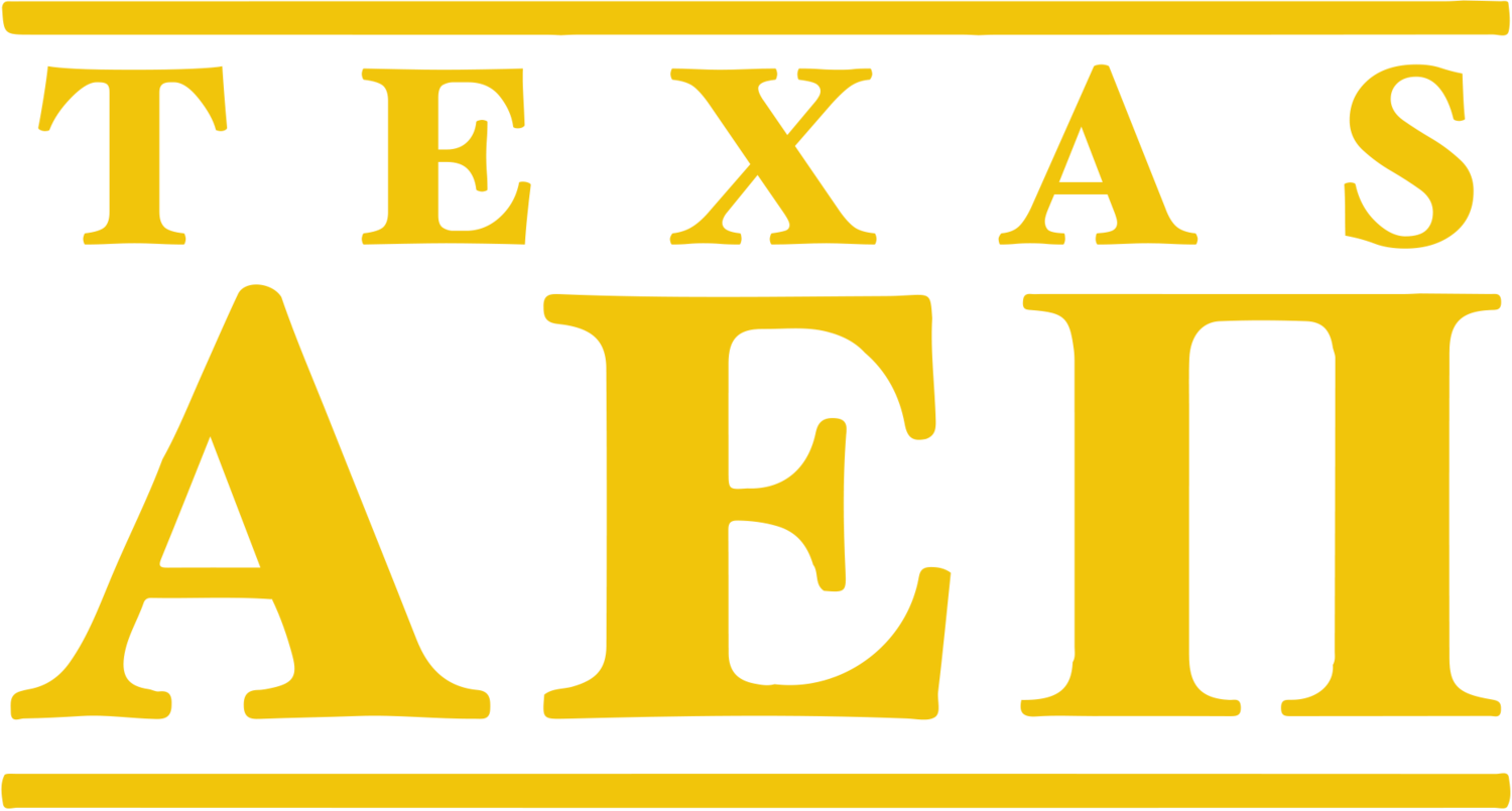 Texas AEPi