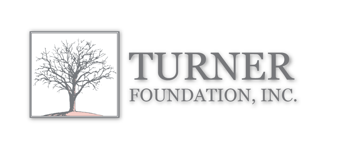 Turner Logo-grey.png