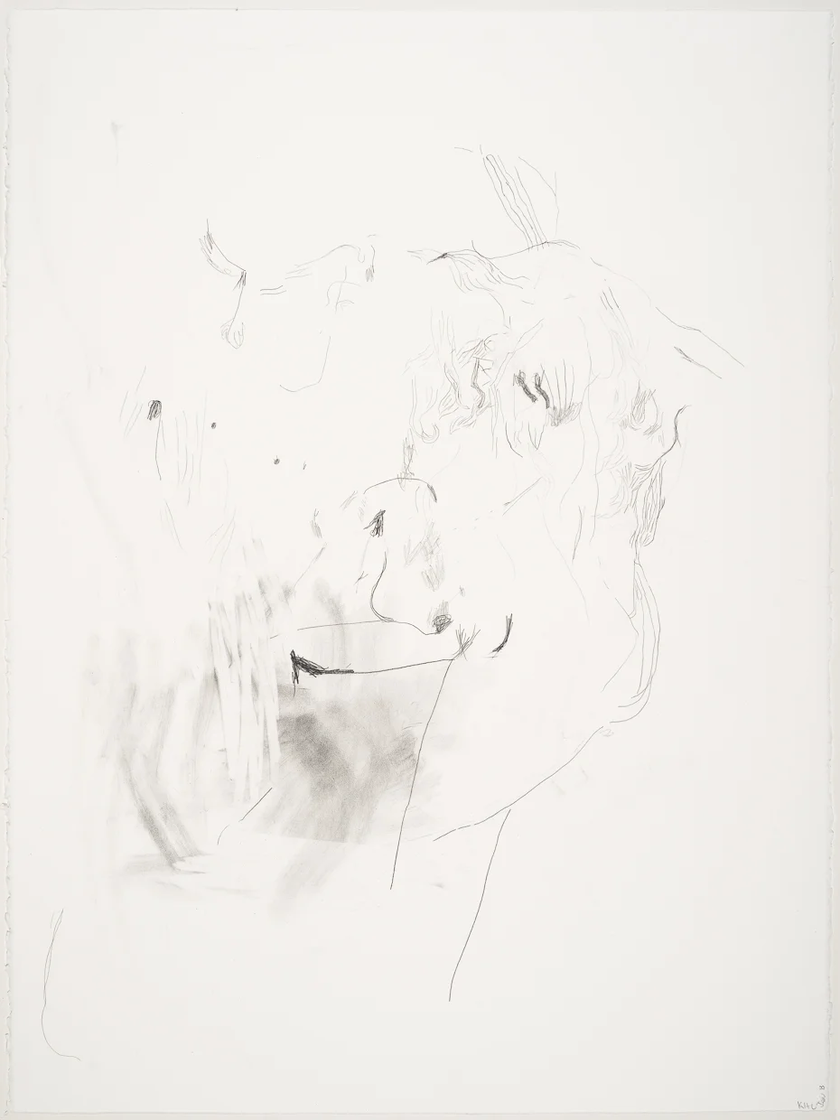 20130426_Karin_Campbell_drawings-02_1240px.jpg