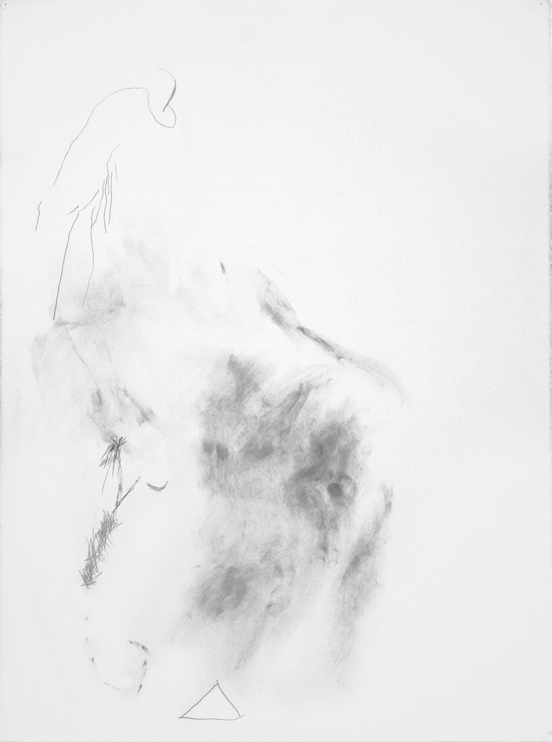  Untitled, 2012. 30" x 22", pencil on paper. 