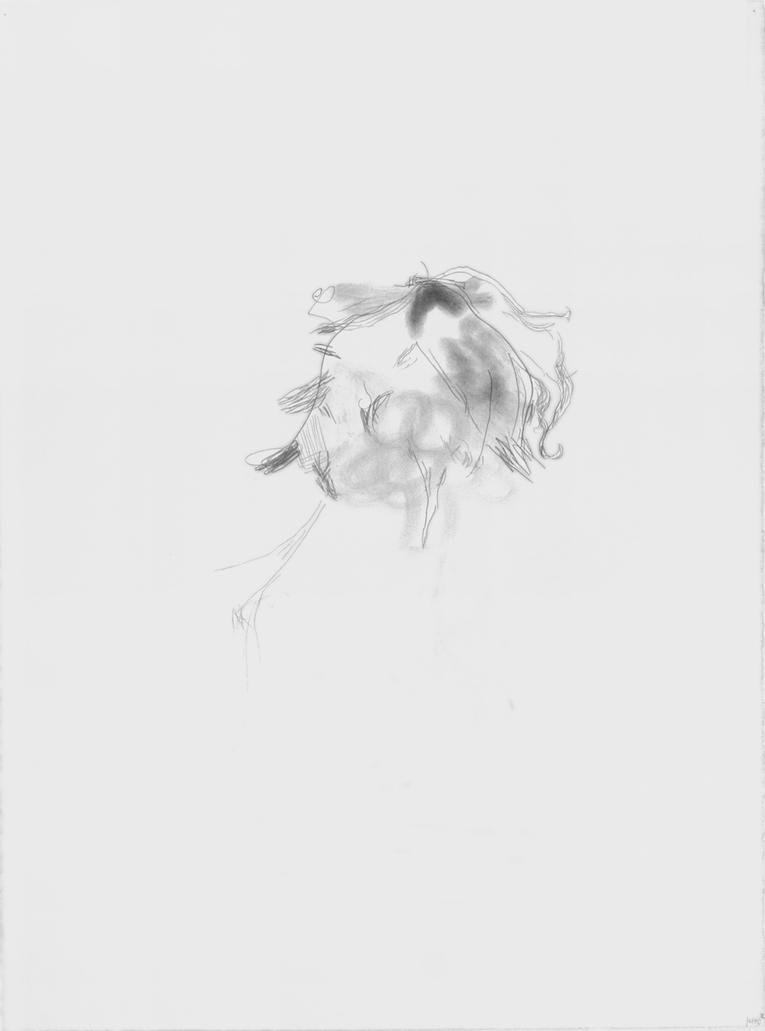  Untitled, 2012. 30" x 22", pencil on paper. 