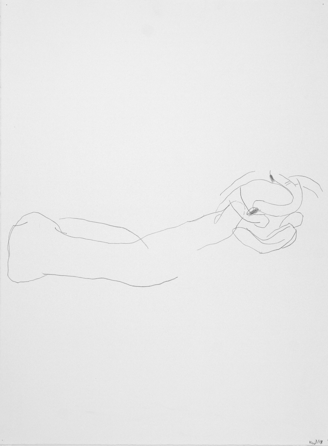  Untitled, 2014. 30" x 22", pencil on paper. 