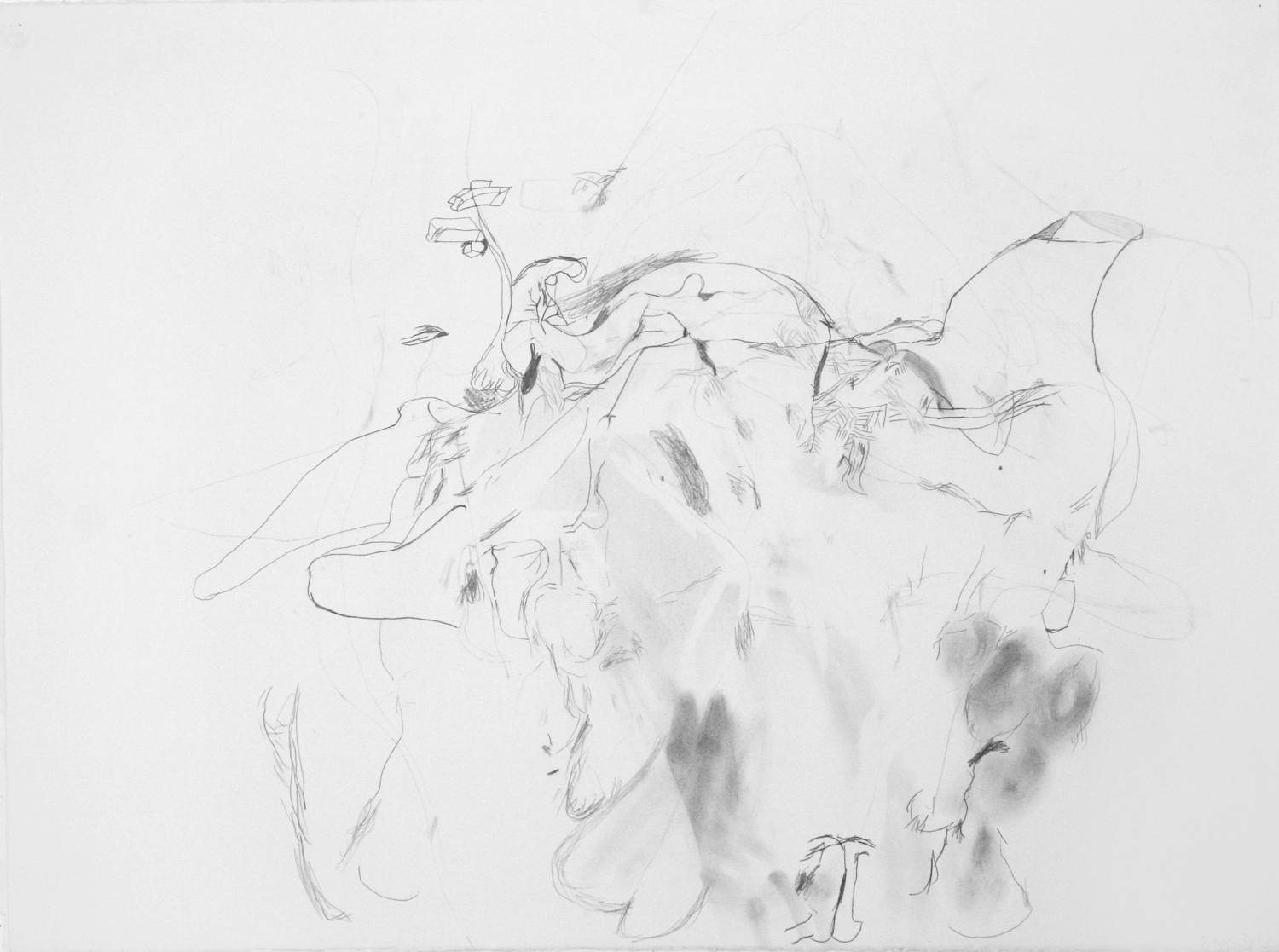  Untitled, 2013.22" x 30", pencil on paper.  